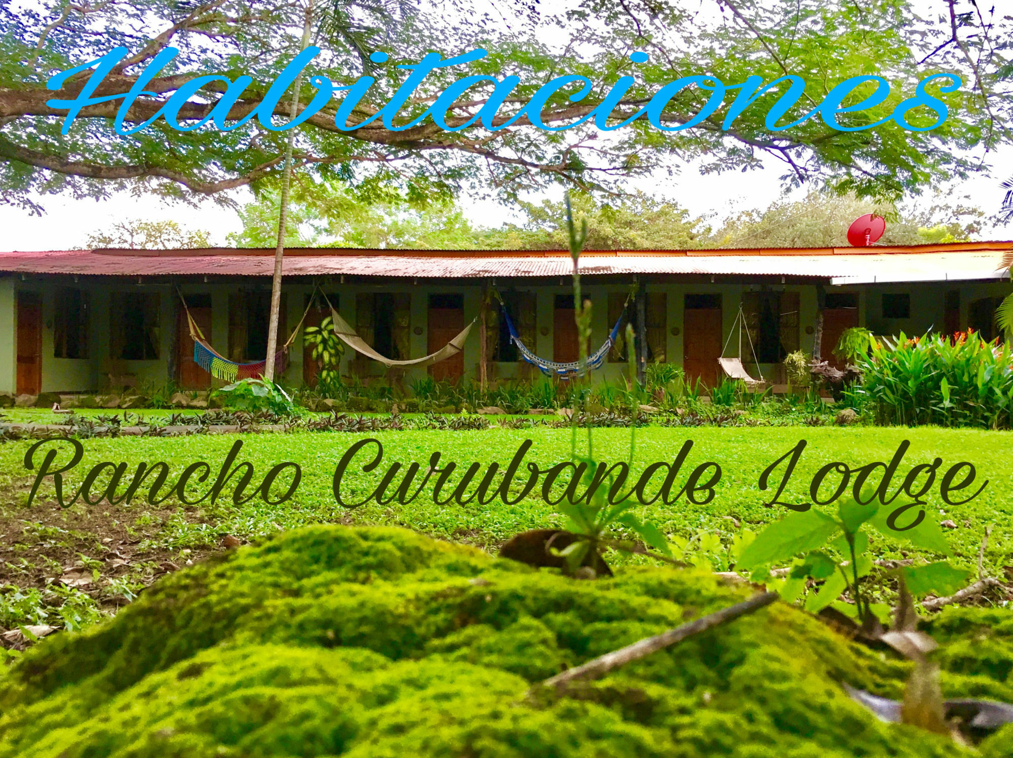 Rancho Curubande Lodge Liberia Bagian luar foto