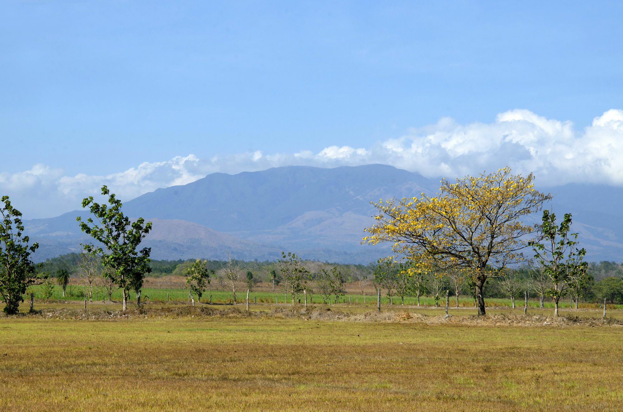 Rancho Curubande Lodge Liberia Bagian luar foto